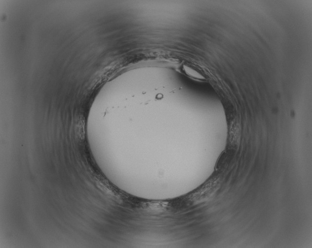 X0000087310474200705180950