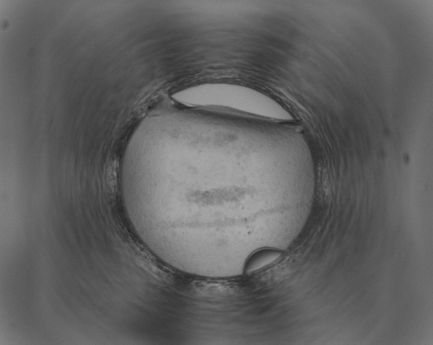 X0000087310475200705180950