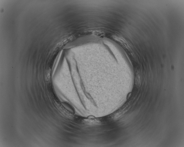 X0000087310477200705180950