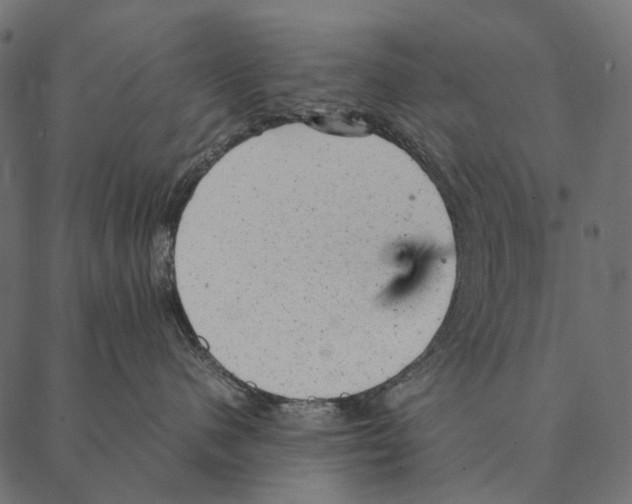 X0000087310480200705180950