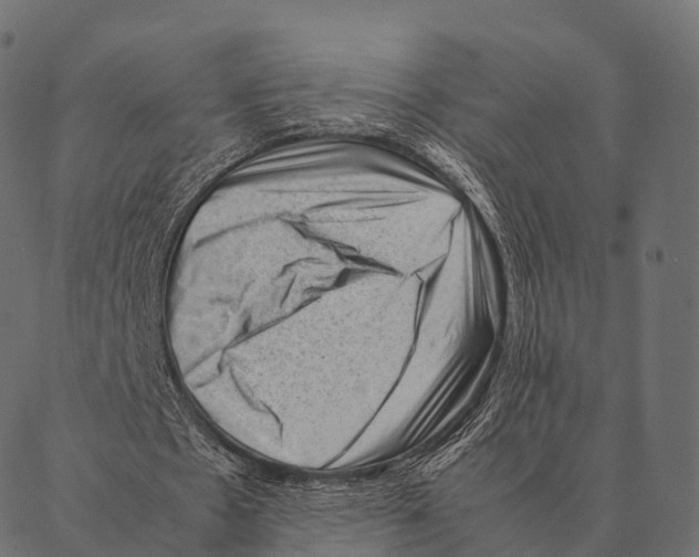 X0000087310481200705180950