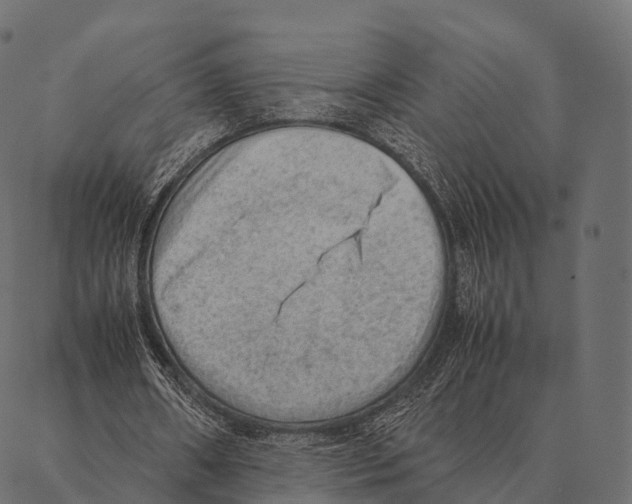 X0000087310482200705180950