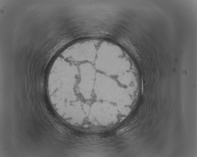 X0000087310483200705180950