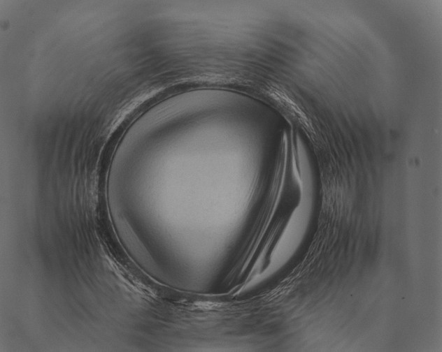 X0000087310484200705180950