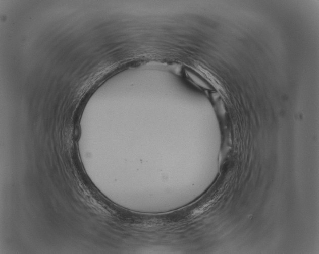 X0000087310485200705180950