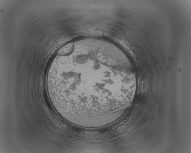 X0000087310487200705180950