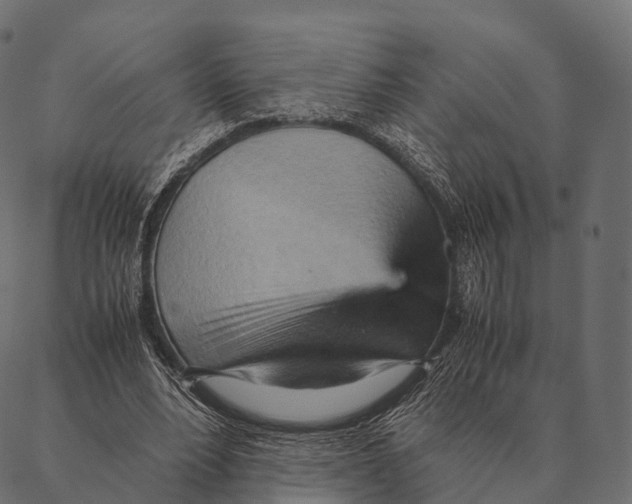 X0000087310488200705180950