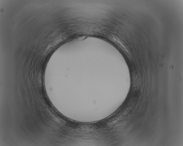 X0000087310489200705180950