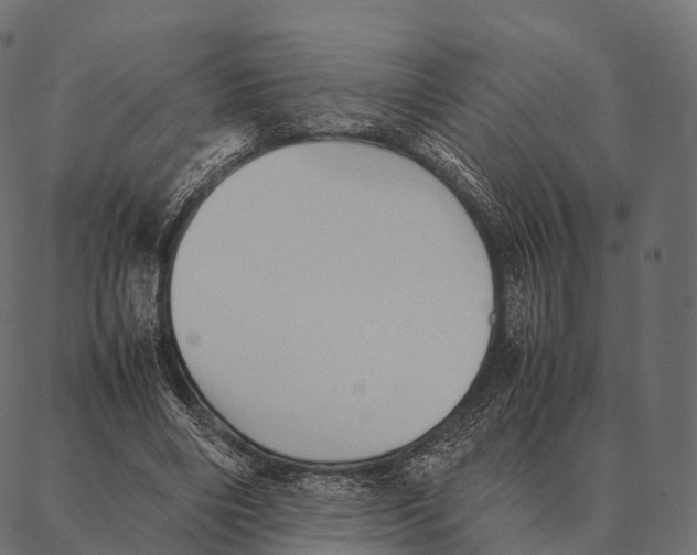 X0000087310490200705180949