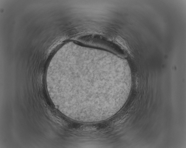 X0000087310491200705180949