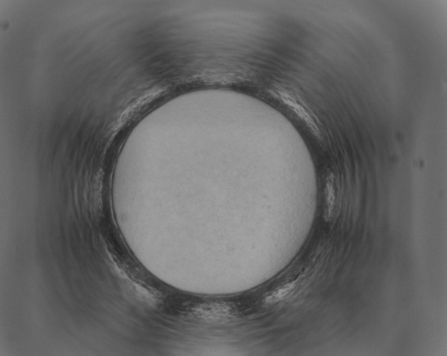 X0000087310492200705180949