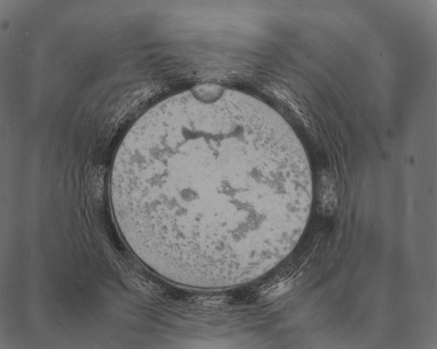 X0000087310495200705180949