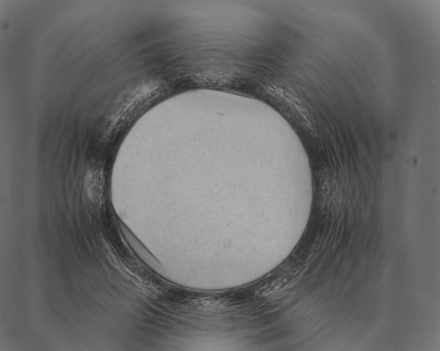 X0000087310498200705180949