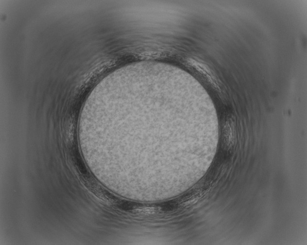 X0000087310499200705180949