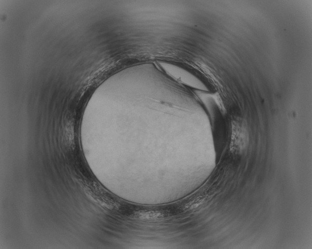 X0000087310500200705180949