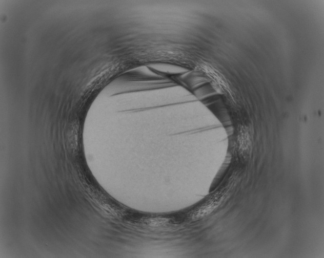 X0000087310501200705180949