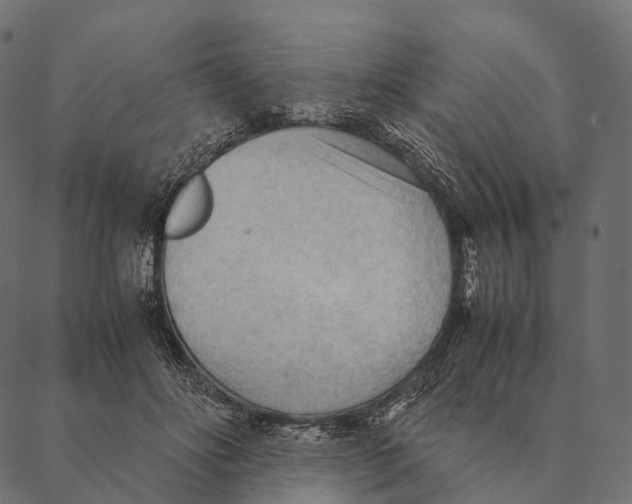 X0000087310502200705180949