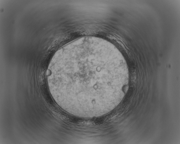 X0000087310503200705180949