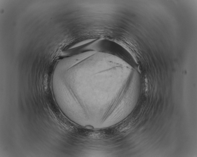 X0000087310504200705180949