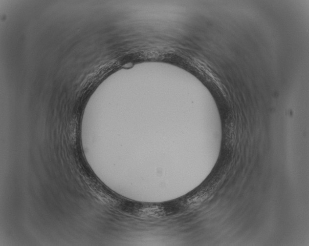 X0000087310505200705180949