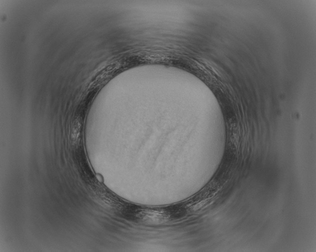 X0000087310507200705180949