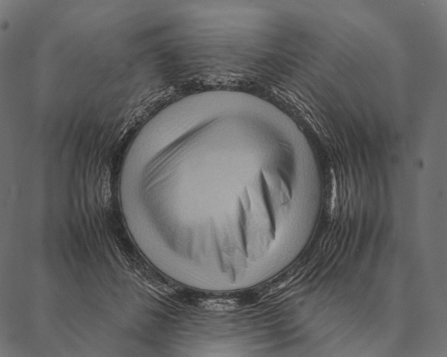 X0000087310508200705180949