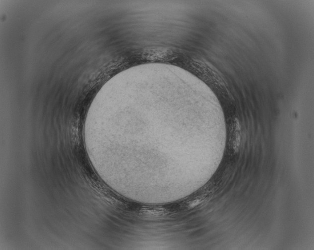 X0000087310510200705180949