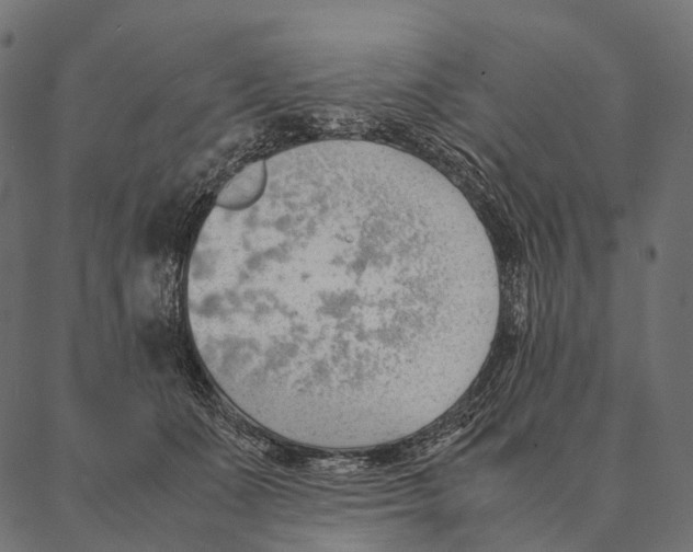 X0000087310511200705180949