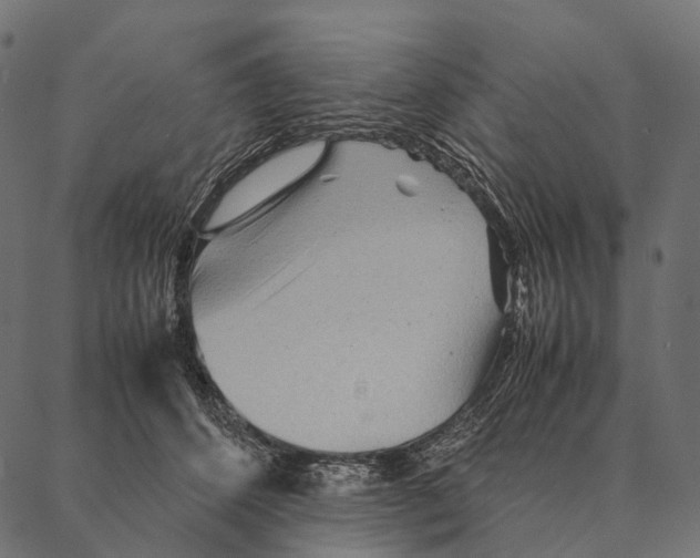 X0000087310512200705180949