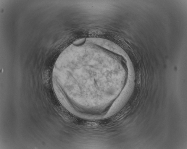 X0000087310519200705180949