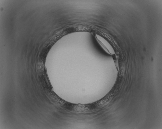 X0000087310521200705180949