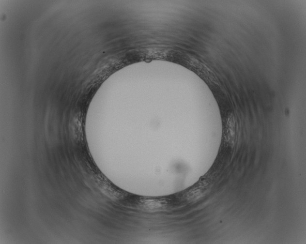 X0000087310522200705180949