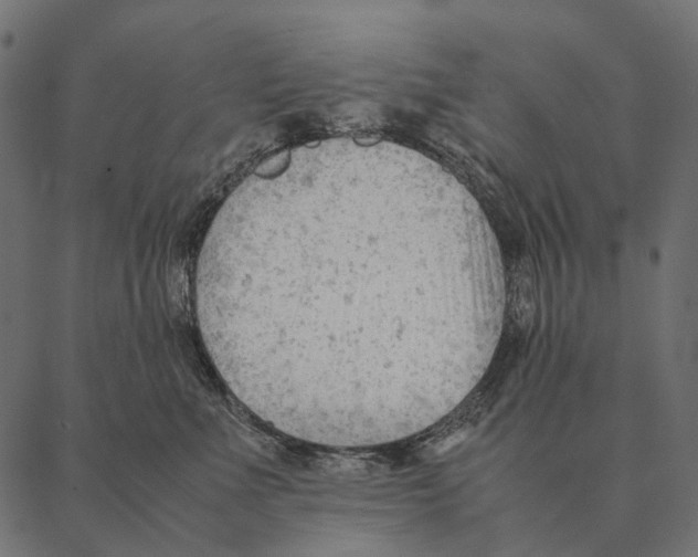 X0000087310523200705180949