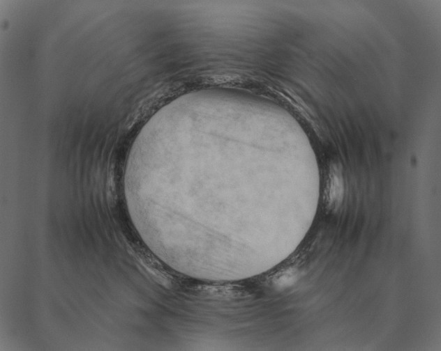 X0000087310524200705180949