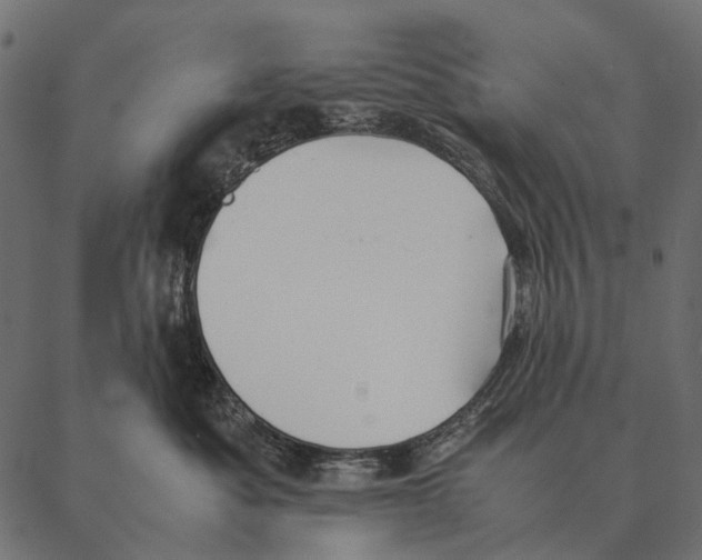 X0000087310525200705180949