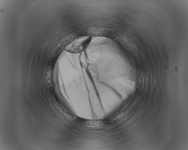 X0000087310526200705180949