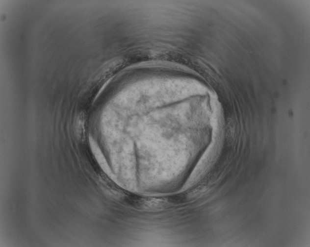 X0000087310527200705180949