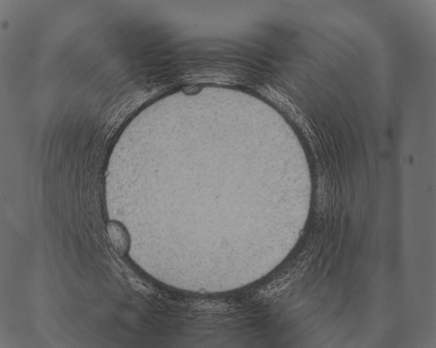 X0000087310529200705180948