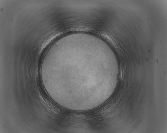 X0000087310531200705180948