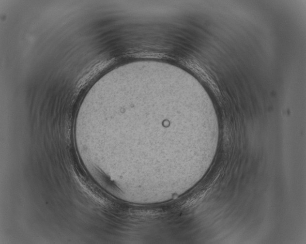 X0000087310533200705180948