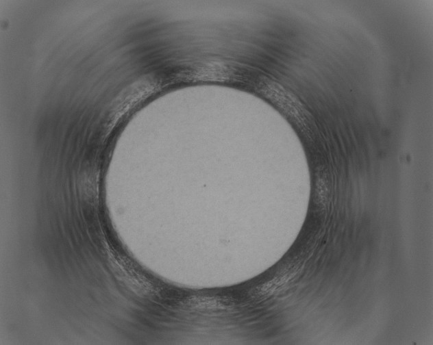 X0000087310534200705180948