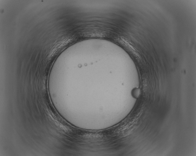 X0000087310537200705180948