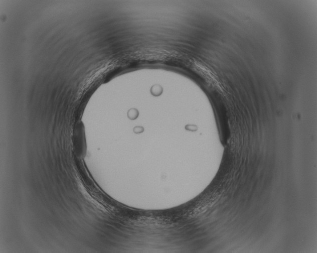 X0000087310538200705180948