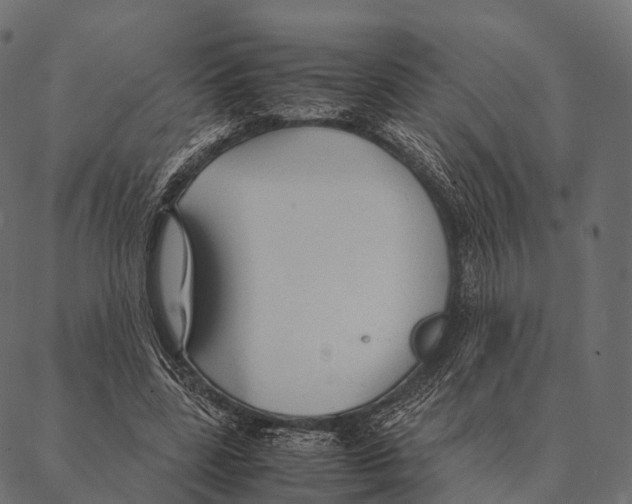 X0000087310539200705180948