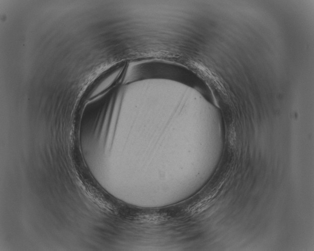 X0000087310540200705180948