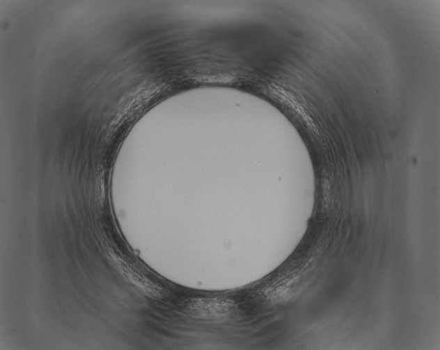 X0000087310541200705180948