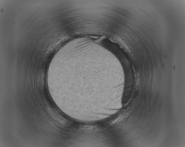 X0000087310542200705180948