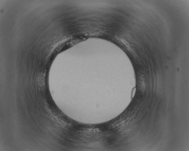 X0000087310543200705180948