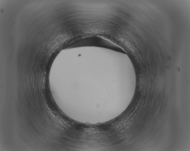 X0000087310544200705180948