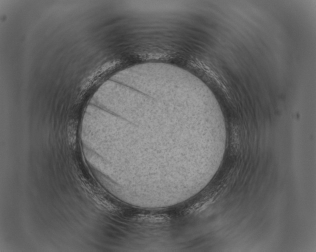 X0000087310545200705180948